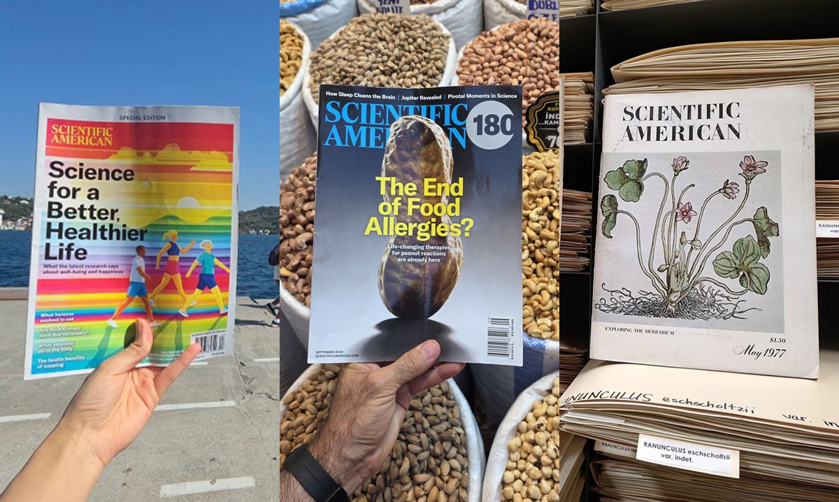 Covers of three issues of Scientific American
