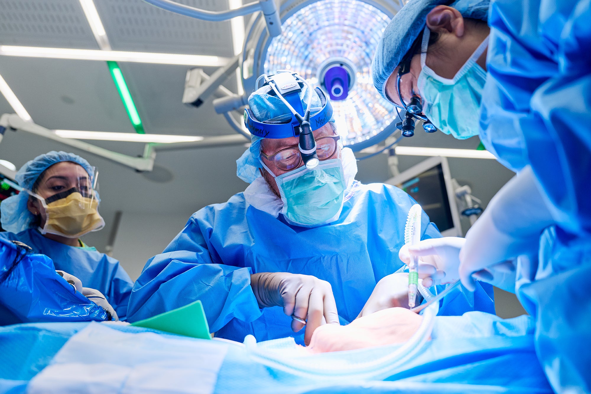 Two individuals wearing scrubs prepare the surgical site on a patient for xenotransplantation surgery while another individual in scrubs observes