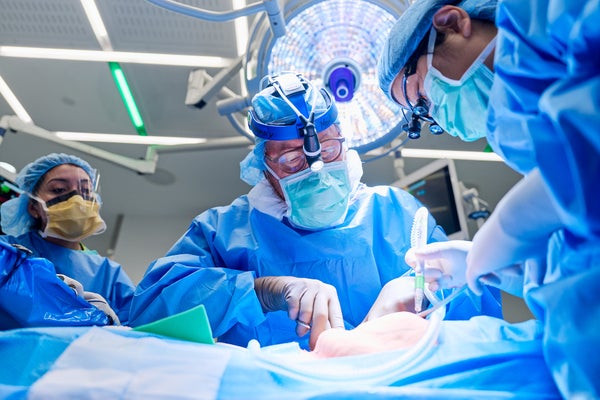 Two individuals wearing scrubs prepare the surgical site on a patient for xenotransplantation surgery while another individual in scrubs observes