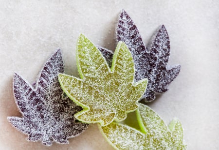 CBD and Cannabis infused gummy on grey surface