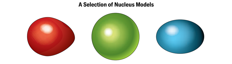 Schematic shows a selection of nucleus models, including spherical, egg-shaped, and oblong.