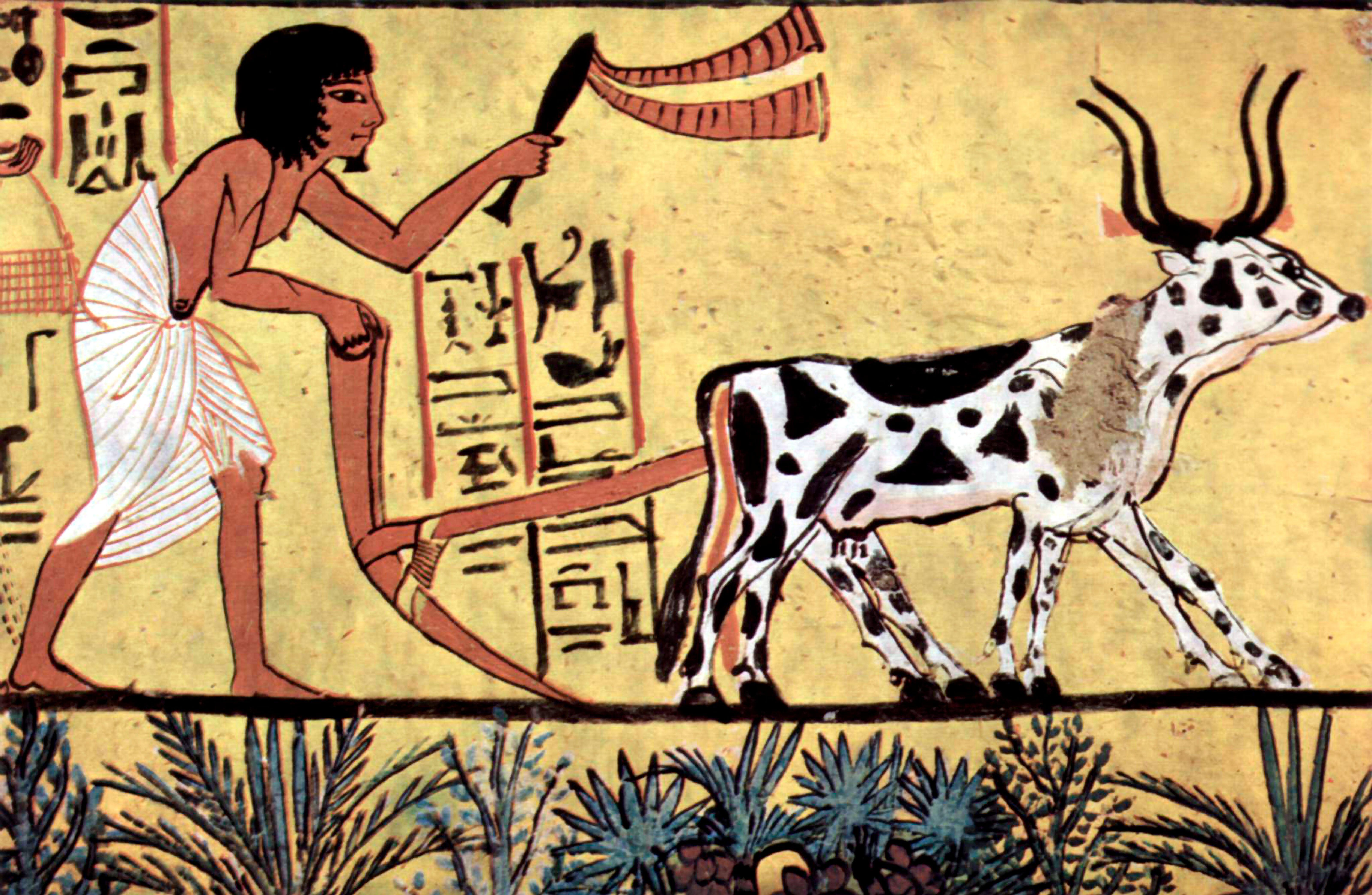 Egyptian figure painting with ox and plow on yellow wall.