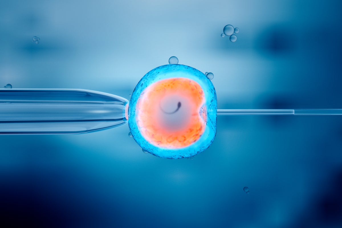 3d illustration of artificial insemination, or in vitro fertilization, of an egg cell.