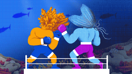 Video of two cartoon sea creatures throwing punches in a boxing ring