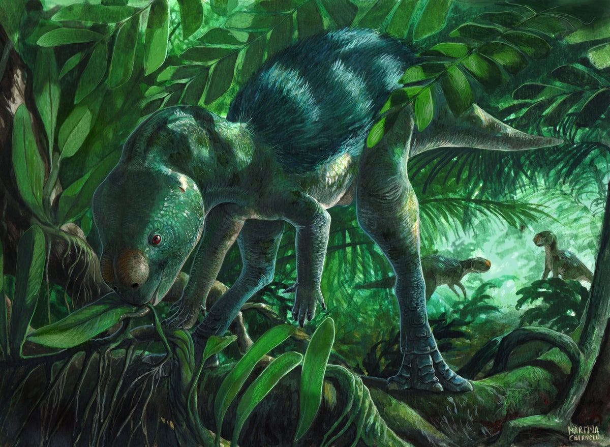 A small dinosaur with a wide, triangular head perched among bright green foliage