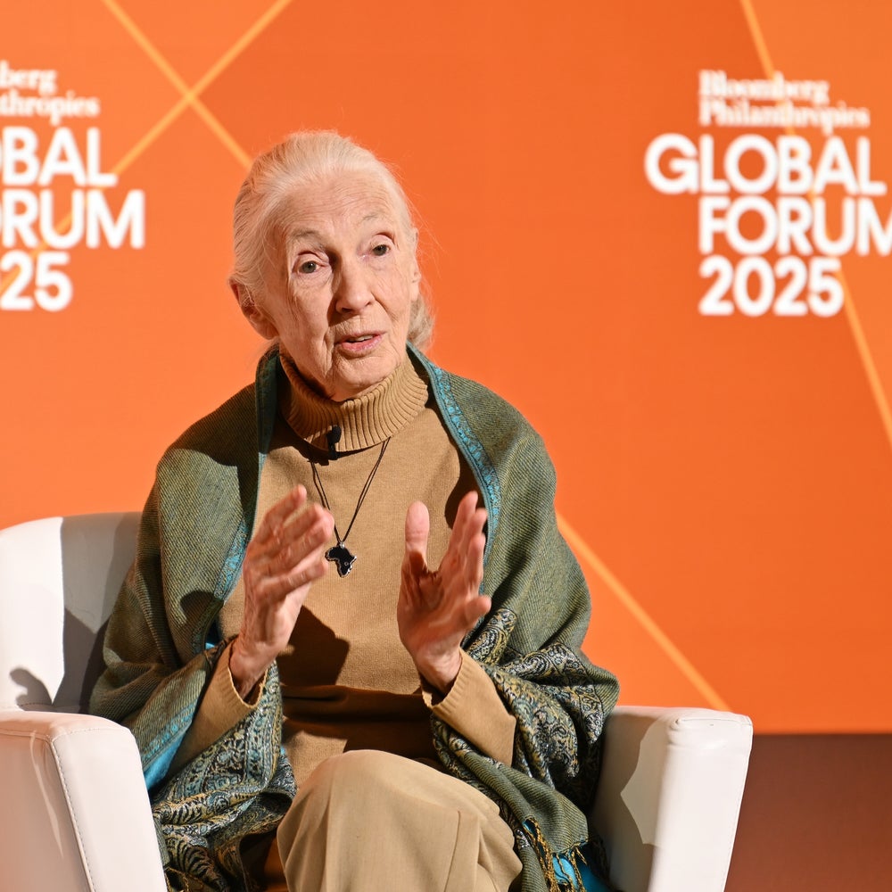 Jane Goodall, Conservationist Who Transformed Our Understanding of  Chimpanzees, Dies at 91 | Scientific American