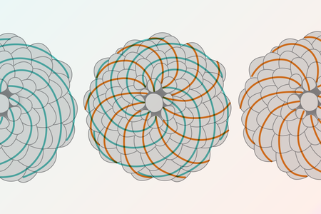 Graphic shows a pine cone viewed from the bottom and traces the spiraling patterns of the scales in clockwise and counterclockwise directions.