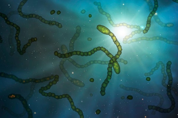 Conceptual illustration of microbes in space