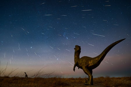A velociraptor dinosaur in the foreground gazes up at meteors streaking through a starry twilight sky. A second dinosaur is silhouetted in the distance near the horizon.