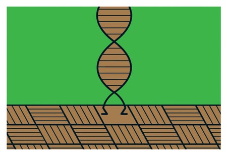 Illustration of DNA against a green background