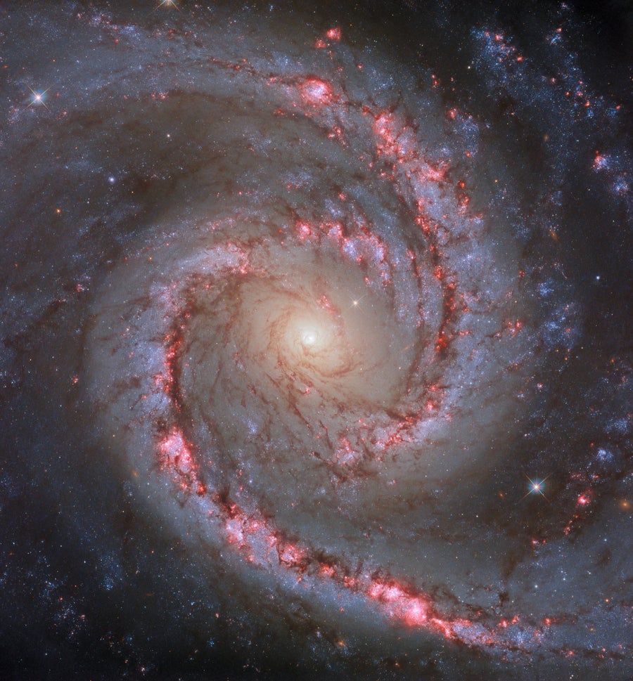 A spiral galaxy. The entire galaxy is displayed, centred and face-on to the viewer. It has two spiral arms that each make only a half-turn from start to finish, resembling the shape of a comma. Lanes of dark dust follow the arms into the centre, and split into many fibres that swirl around the glowing galactic core. Bright pink blooms along the arms show areas of new star formation