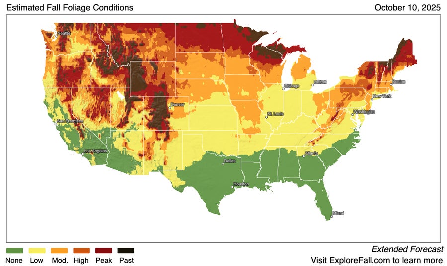 2025 Fall Foliage Map