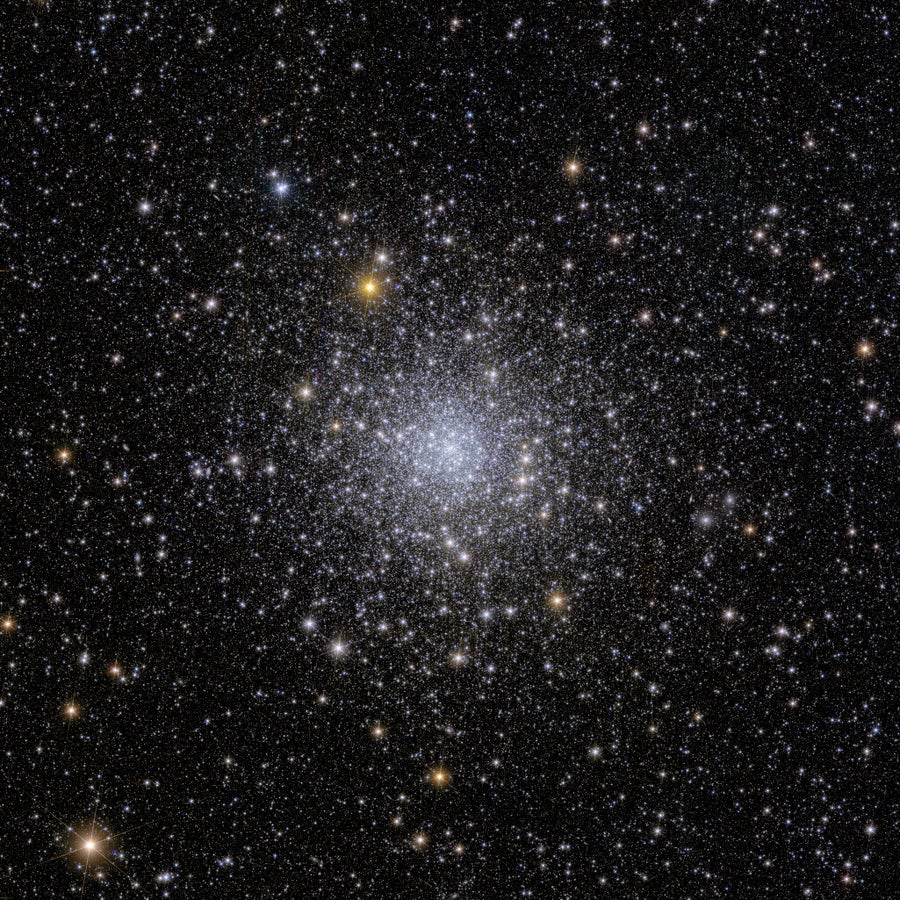 Euclid’s view of the globular cluster NGC 6397