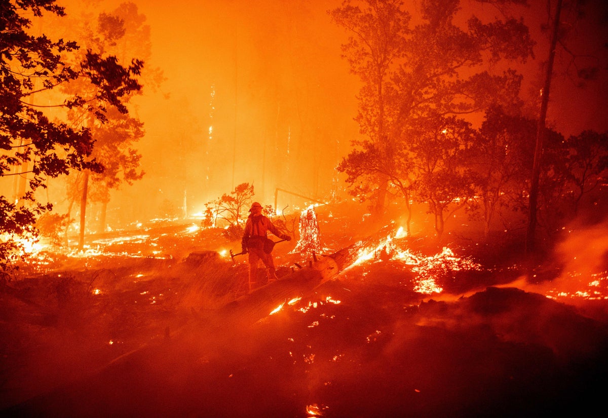 Extreme Wildfires Are Twice as Common as They Were 20 Years Ago