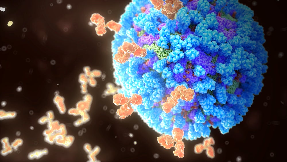 Vaccine Advances Could Help Decrease Influenza’s Toll | Scientific American