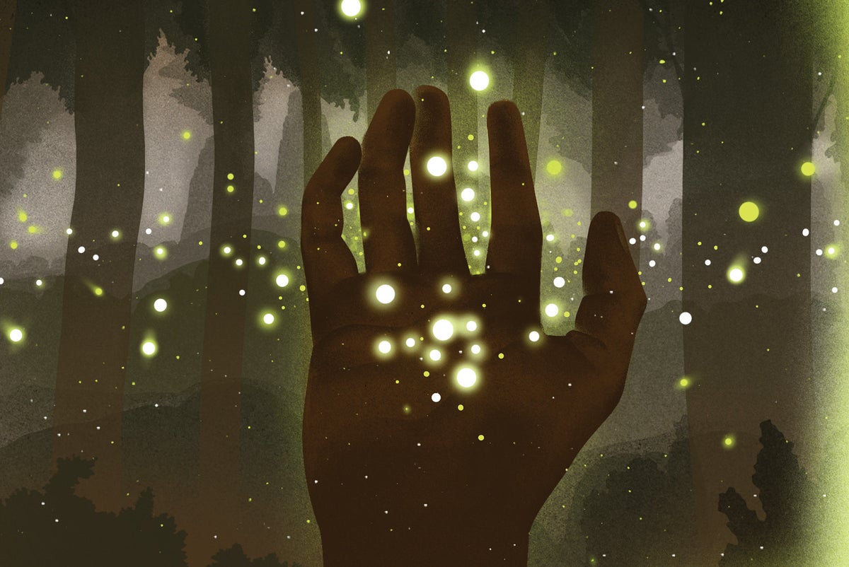 Poem: ‘Prayer to Fireflies’