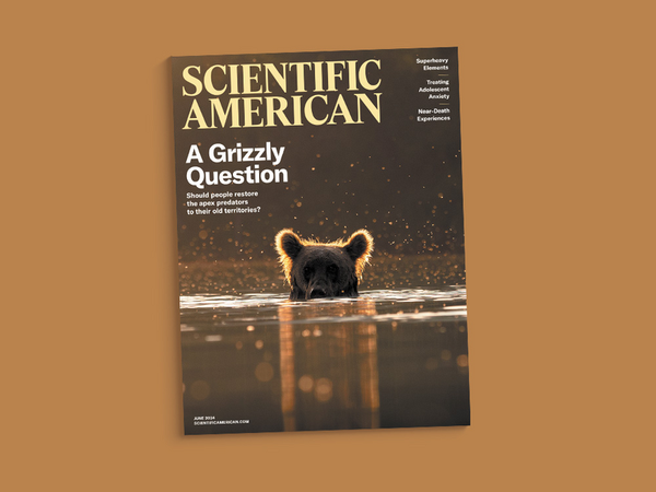 Cover of the June 2024 issue of Scientific American against an orange background.