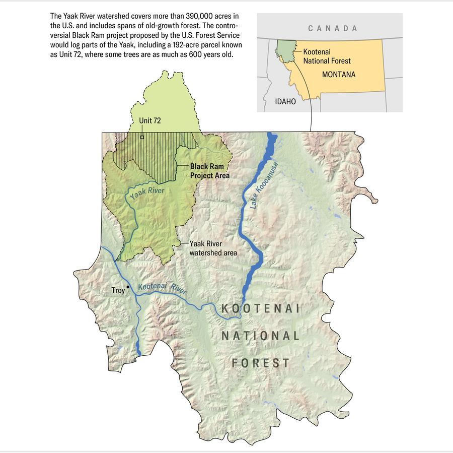 Map shows the Kootenai National Forest and the Yaak River watershed, located in the northwest corner of Montana. The forest spills into Idaho to the west: The watershed area extends north into Canada. The Black Ram project and Unit 72 are labelled.