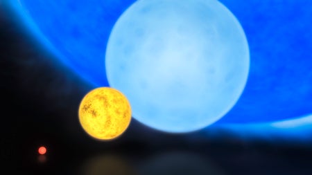 An image showing four stars arranged in ascending order of mass, from left to right, ranging from a tiny red star, to a mid-sized yellow sunlike star, to a large blue star, to a very large blue star.