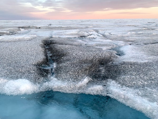 Giant Viruses Discovered in Arctic Ice Could Slow Sea-Level Rise