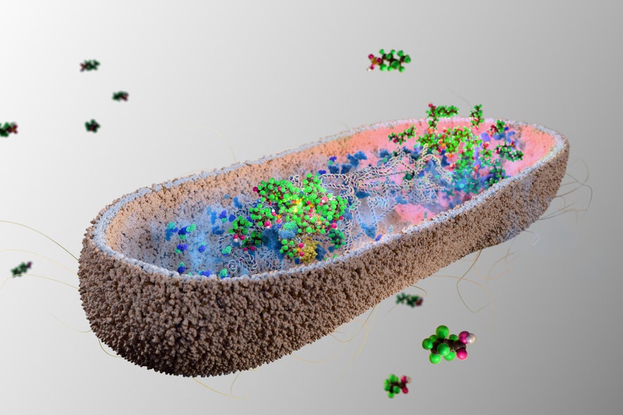 Gathing Bacteria with a gray background with a cross section showing prefloyoSOQUNOIC ACID-A with endless chemicals - such as dense chemical