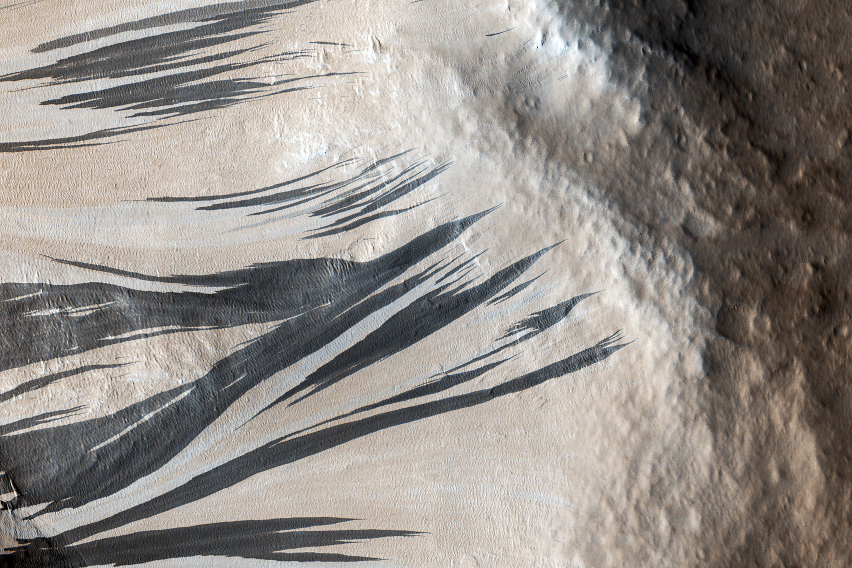 Many dark and light-toned slope streaks are visible on the wall of the trough surrounded by dunes in an area of Mars called Acheron Fossae