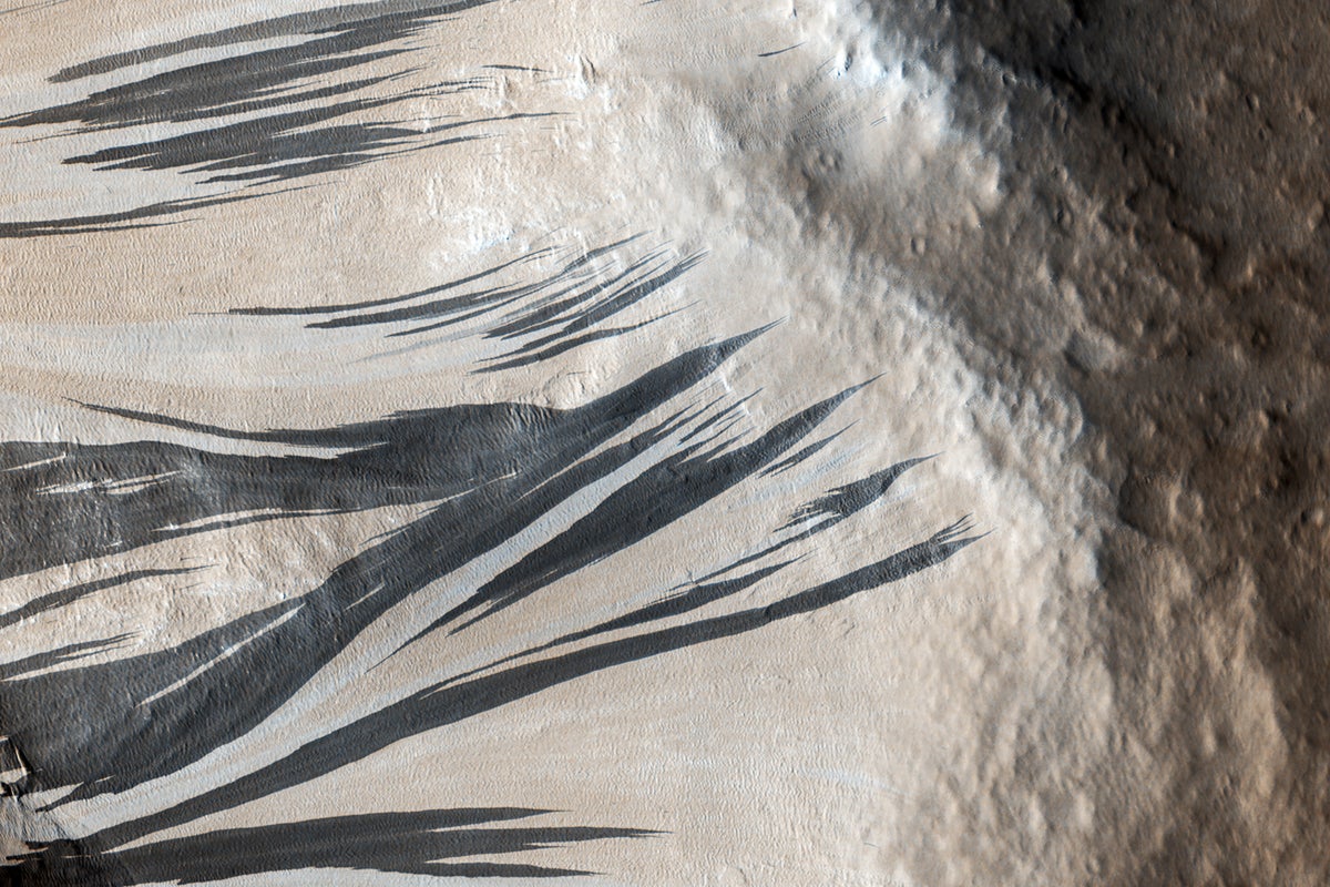 Many dark and light-toned slope streaks are visible on the wall of the trough surrounded by dunes in an area of Mars called Acheron Fossae