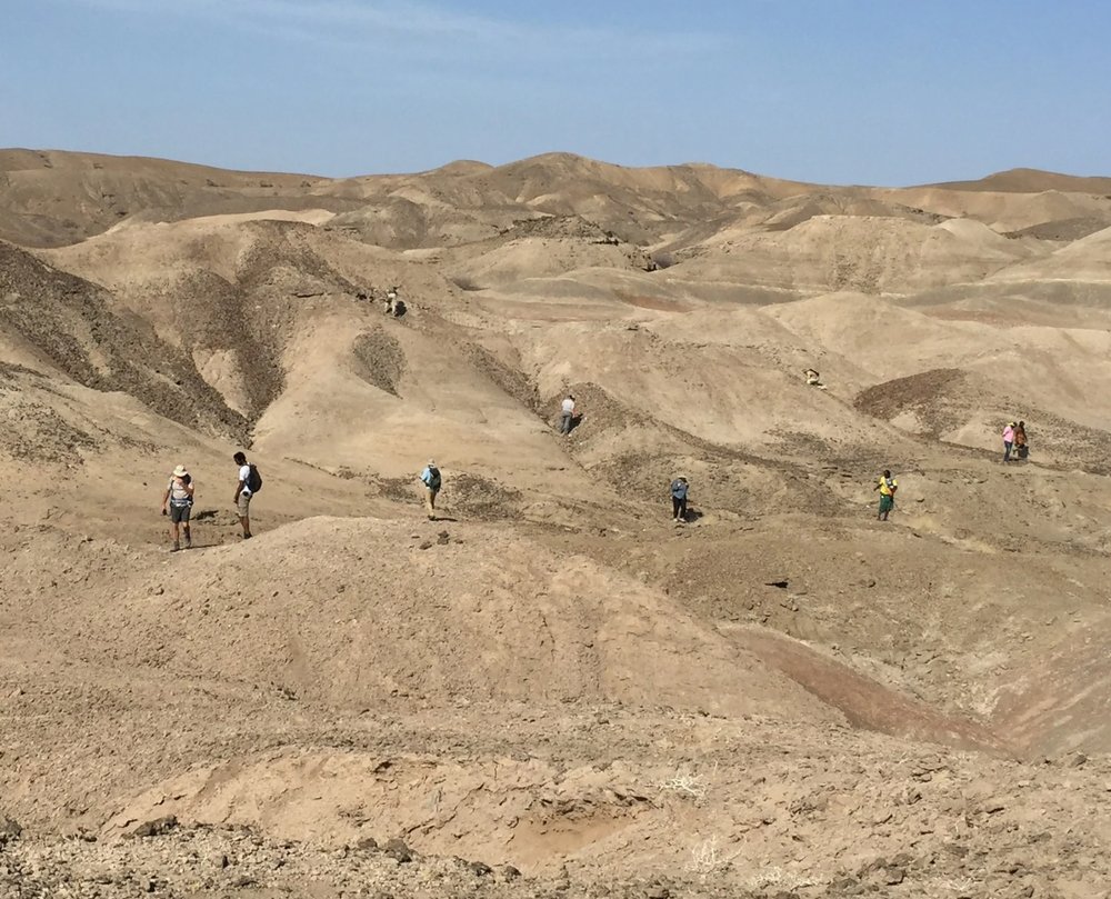 Foto del equipo paleontológico Ledi-Geraru que busca fósiles en la cuenca de Lee Adayta donde se han recuperado los géneros Homo y Australopithecus
