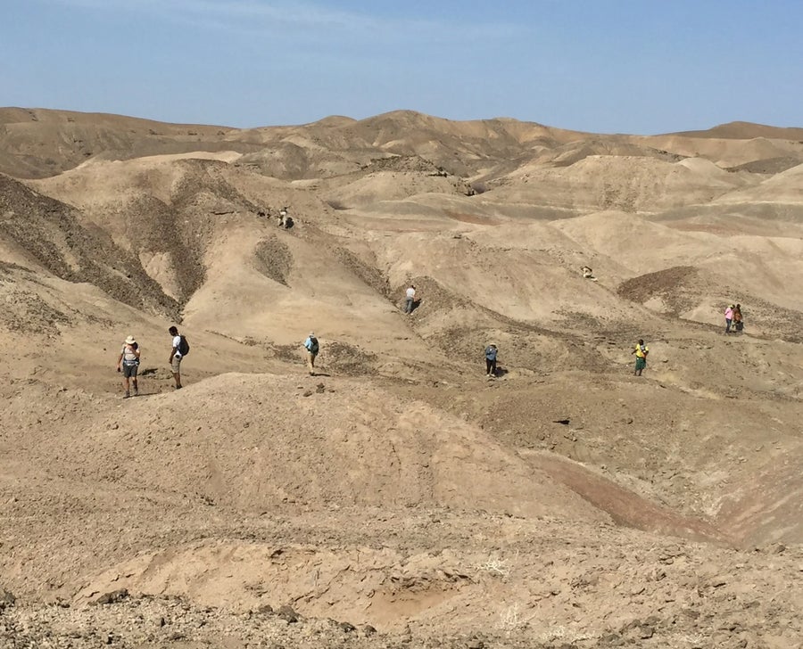 Photo of Ledi-Geraru paleontological team searching for fossils in the Lee Adoyta Basin where the genera Homo and Australopithecus have been recovered