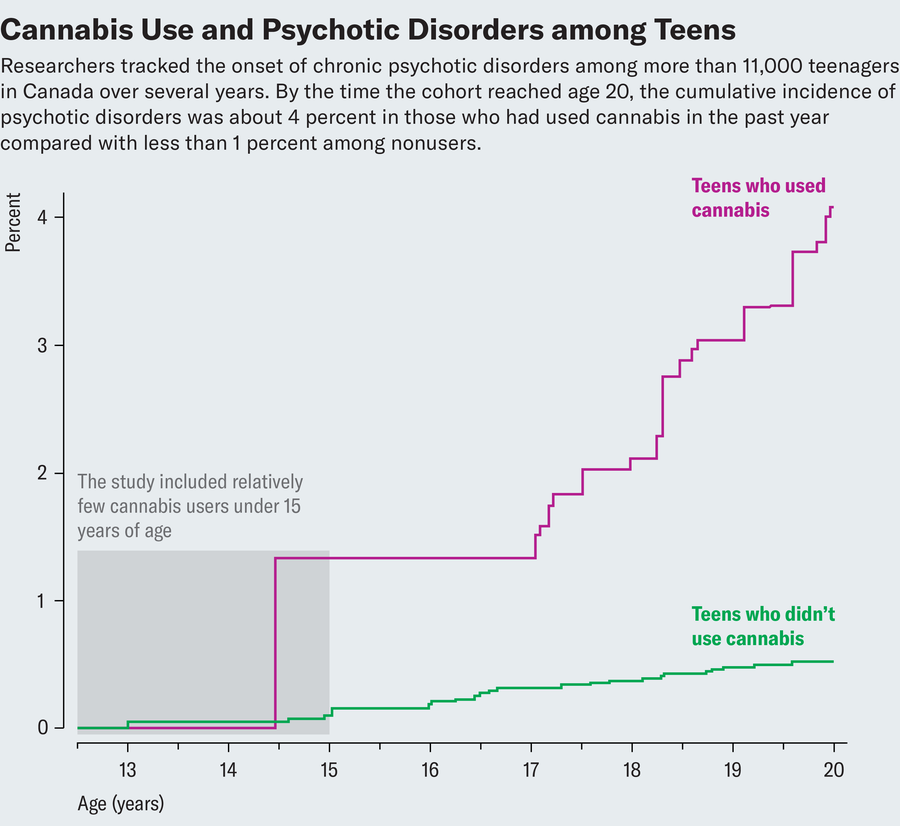 The chart indicates the cumulative percentage of teenagers who have experienced chronic psychic disease, and is divided into people who used cannabis last year and those who do not.