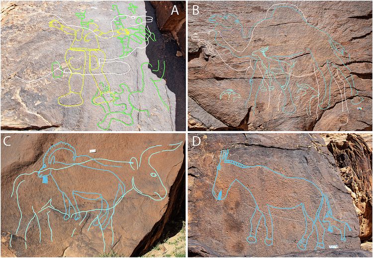 Rock Art Discovery Reveals Unknown Arabian Nomads from 12,000 Years Ago ...