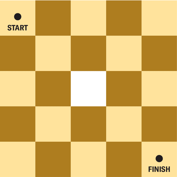 Math Puzzle: The Doughnut-Shaped Chess Board | Scientific American