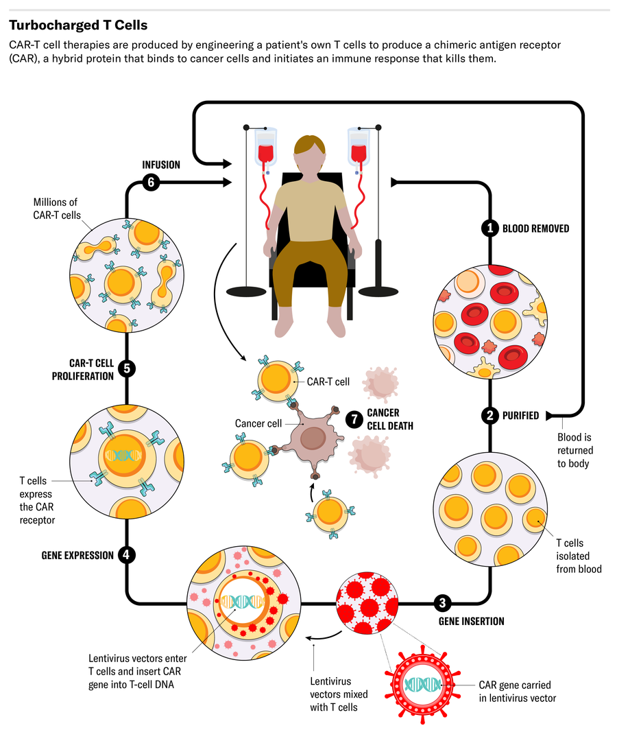 Graphic depicting how CAR-T's cells approach cancer's front lines