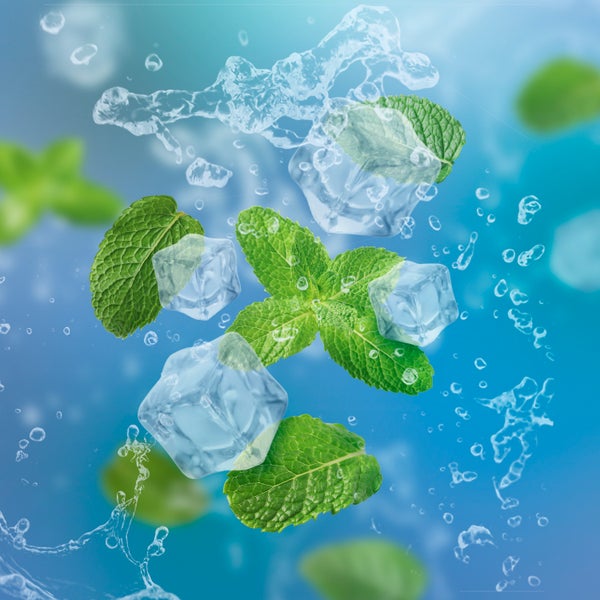 أوراق النعناع ومكعبات الثلج والماء المرشوش على خلفية متدرجة زرقاء