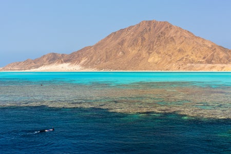 A person snorkels along a reef in the Red Sea with Zabargad Island of Egypt seen in the background