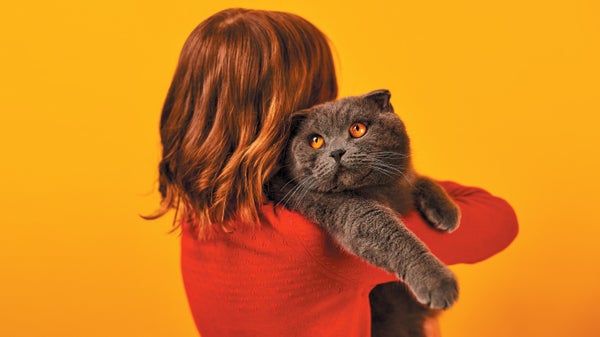 A girl in a red sweater holding a gray cat with orange eyes, against an orange background