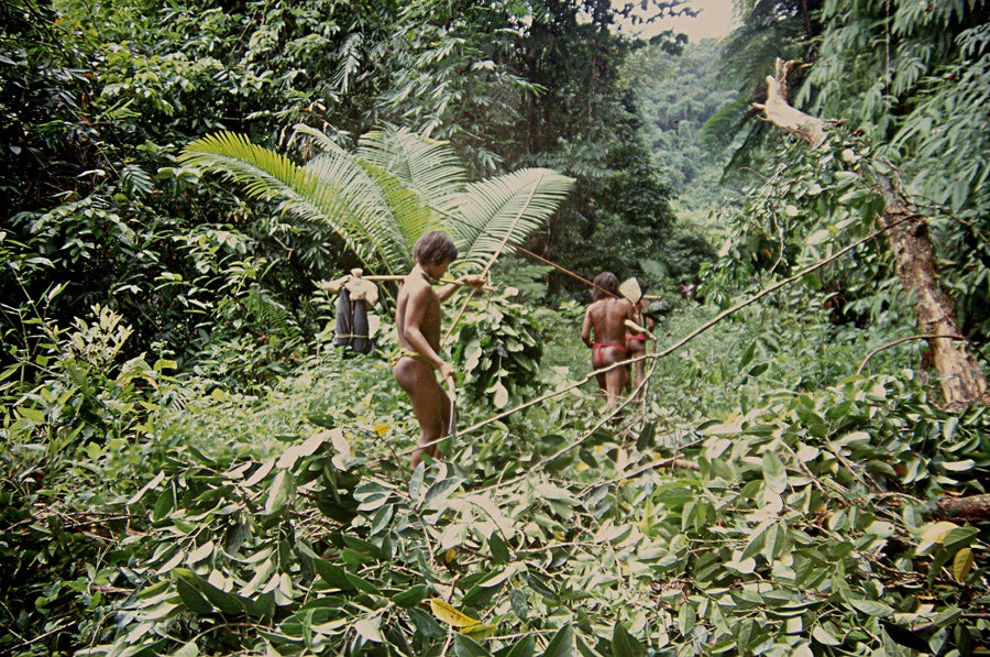 A group of indigenous people walking in natural setting.