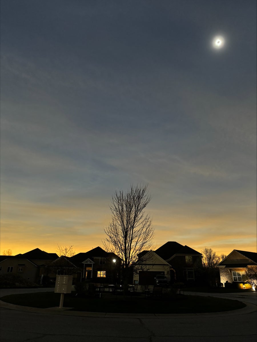 Street with homes and tree and eclipse