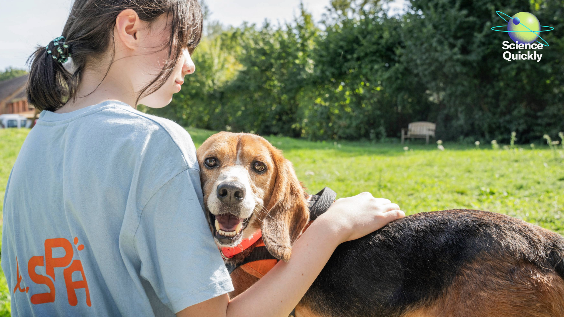 A teenage girl sitting outside with her arm around a dog who is facing the camera with its mouth open.