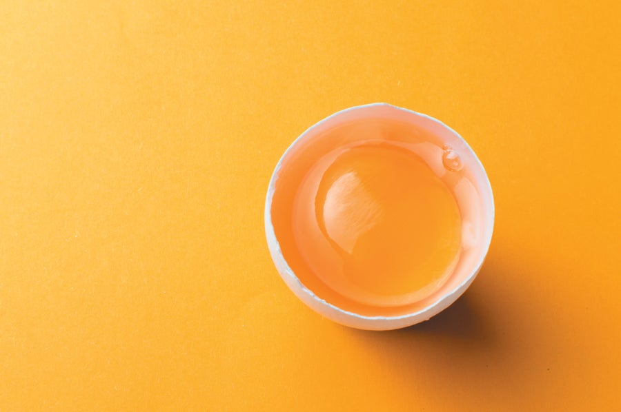 Egg yolk still life.
