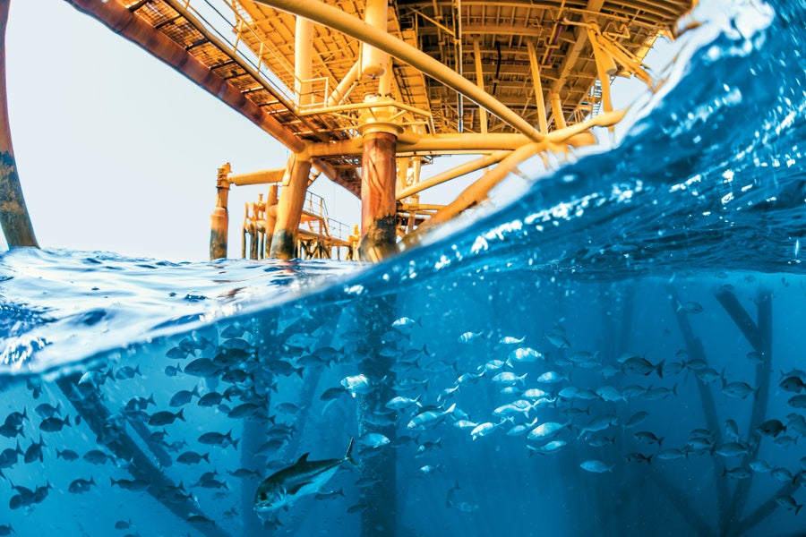 A blue wave and group of fish swimming underwater, beneath a decommissioned platform