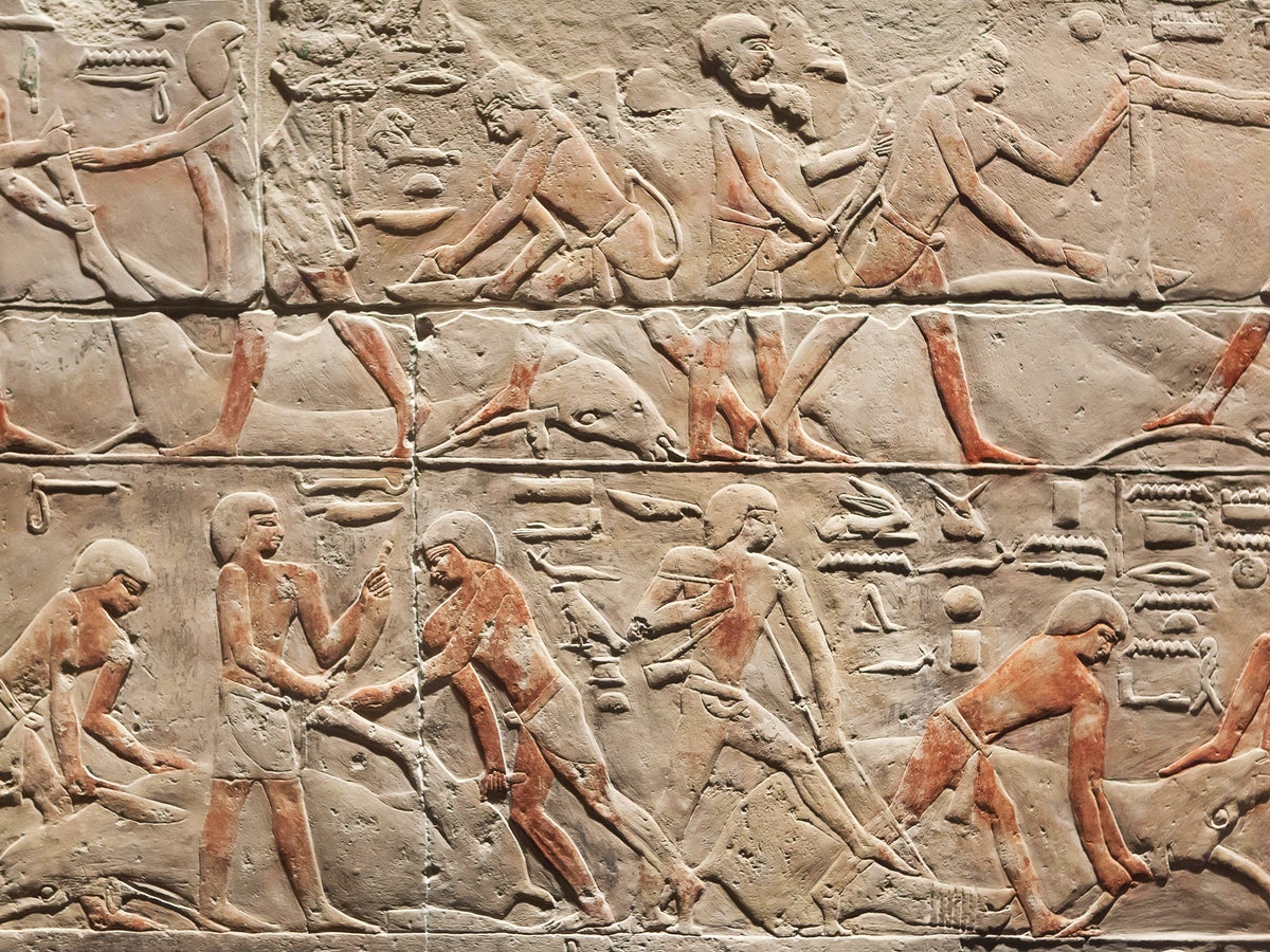 First Human Genome from Ancient Egypt Sequenced from 4,800-Year-Old Teeth |  Scientific American