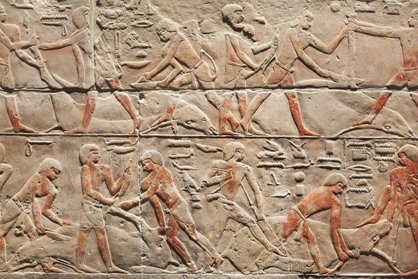 A relief of the limestone of the ancient kingdom of ancient Egypt representing a scene of Baptle-Baptille