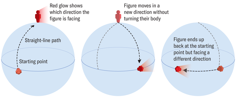 Diagram shows the path and orientation of a figure on a globe as they walk straight north from the equator to the North Pole, then to their right until they reach the equator again and finally back to the starting point, all without turning their body.