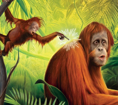 Illustration of a baby orangutan poking a larger orangutan on its back while hanging from a tree in a green forest