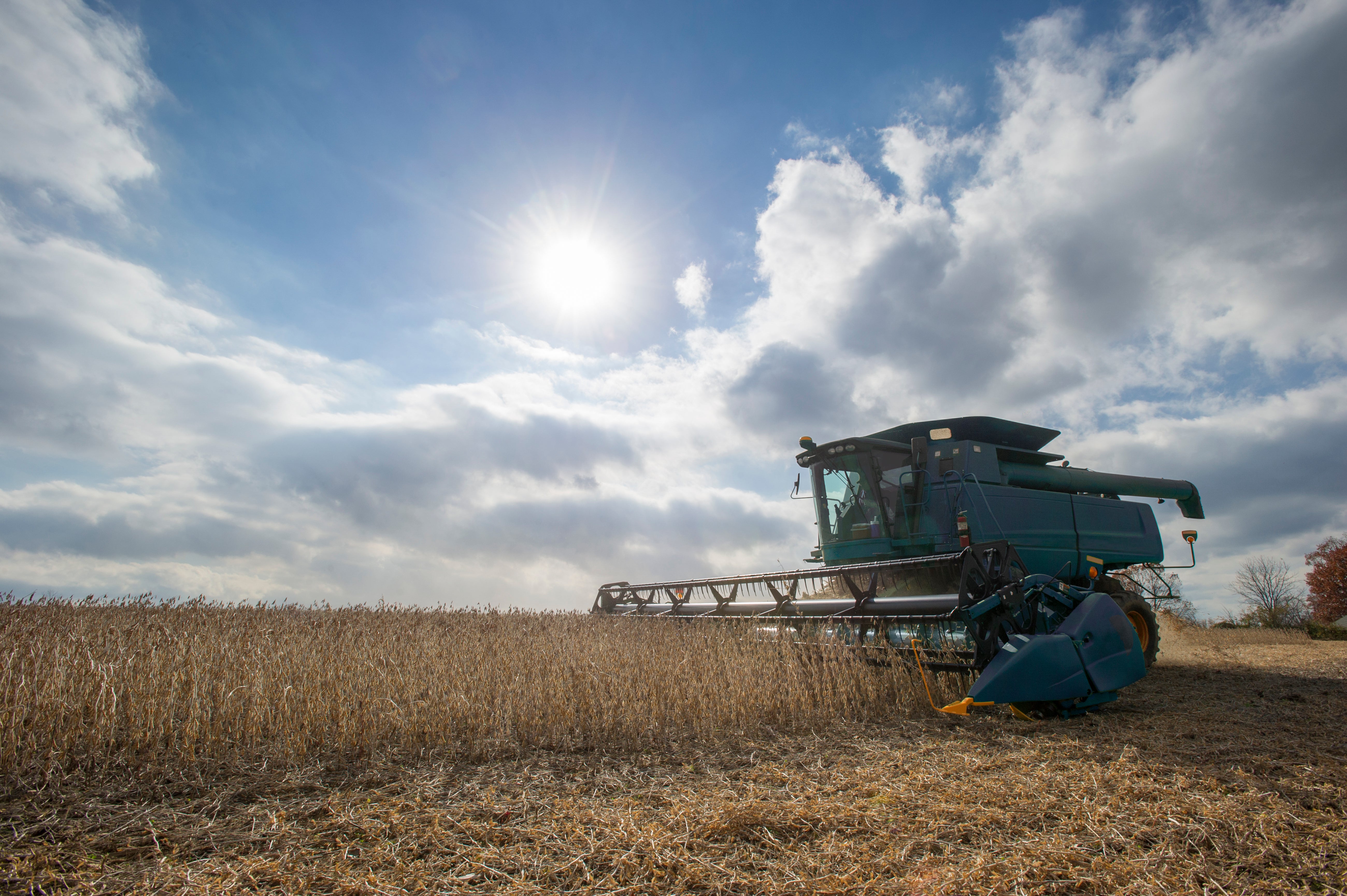 Truck driving through soybean fiels with sun and clouds.
