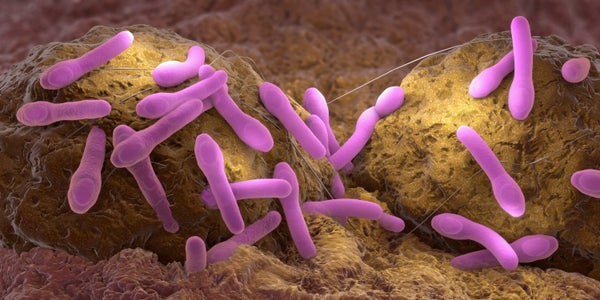 an illustration of Clostridium botulinum growing on tissue