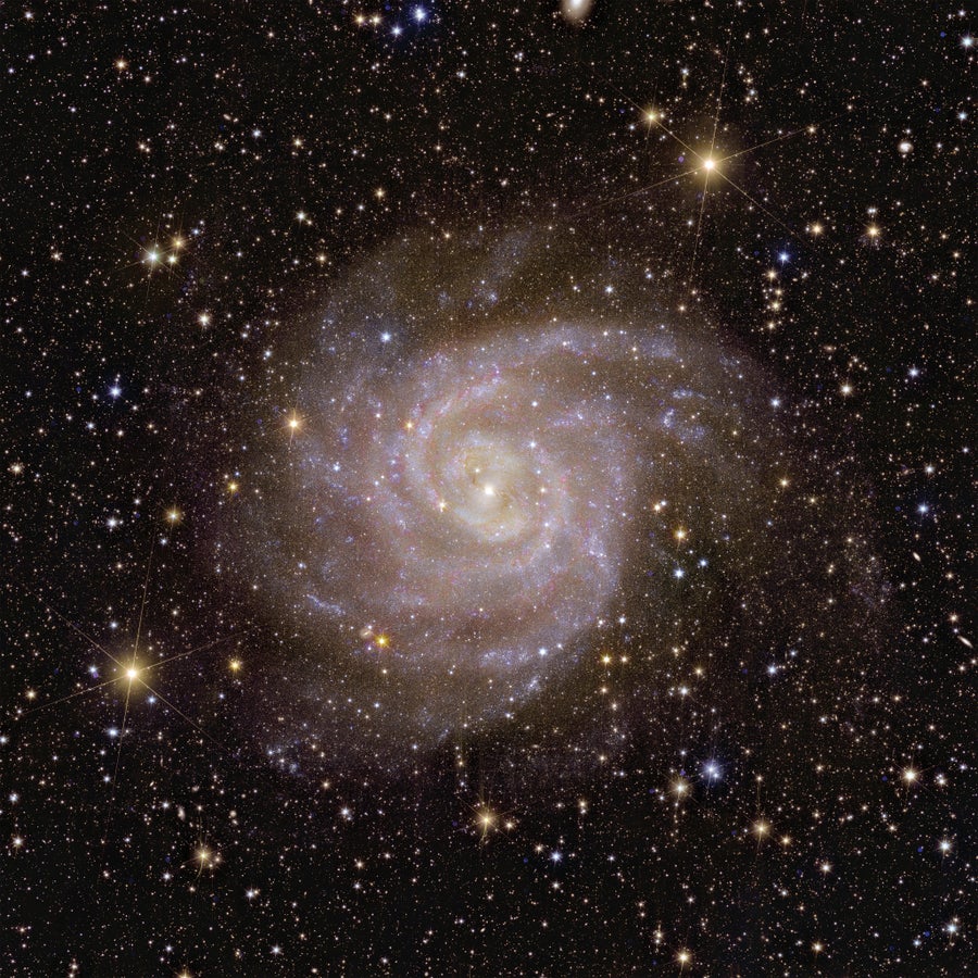 Euclid captured a view of the nearby spiral galaxy IC 342.