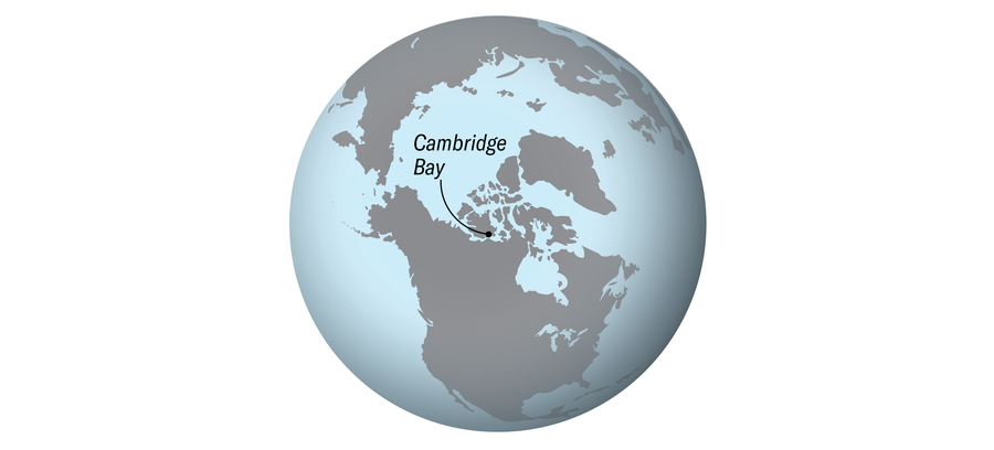 Locator globe highlights Cambridge Bay, along the northern coast of Canada.