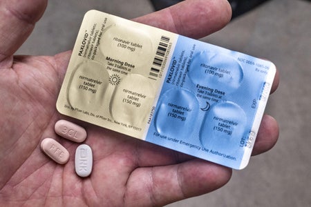 Daily dose packaging showing tablets of Pfizer Paxlovid antiviral to treat COVID resting on palm.